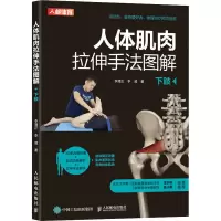 [M]人体肌肉拉伸手法图解 下肢 李清正,李威 著 -9787115589286