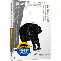 [M]聪敏的大象-9787556263349