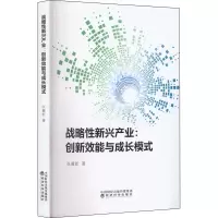[M]战略性新兴产业:创新效能与成长模式-9787521834840