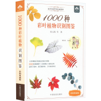 [M]1000种彩叶植物识别图鉴 彩图典藏版-9787109298859