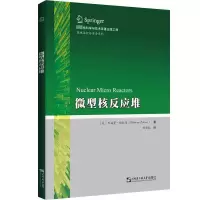 [M]微型核反应堆-9787566135285