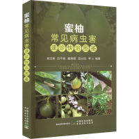[M]蜜柚常见病虫害速诊快治图鉴-9787109300699