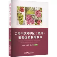 [M]云南干热河谷区(宾川)葡萄优质栽培技术-9787565528743