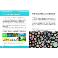 [M]探索神奇火星-9787110104057