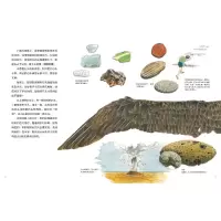 [M]海边的宝藏-9787544878135