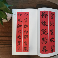 [M]颜真卿楷书集字春联-9787547913734