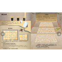 [M]一起来脑力大挑战(全4册)-9787110104866