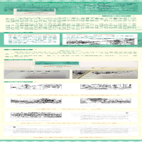 [M]穆桂英挂帅 董天野 绘 -9787505639317