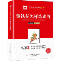 [M]钢铁是怎样炼成的 智听版-9787531360810
