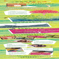 [M]樱桃树 张牧笛 著 温艾凝 绘 -9787573605061