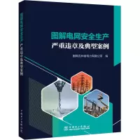 [M]图解电网安全生产严重违章及典型案例-9787519873066