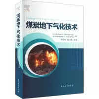 [M]煤炭地下气化技术-9787518346455