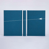 [M]游隼-9787547744277