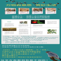 [M]万物有意思 奇妙生活(全2册)-9787547736135