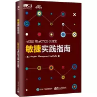 [M]敏捷实践指南-9787121341076