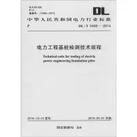 [M]电力工程基桩检测技术规程-9158024257809