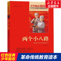 [M]两个小八路-9787570408313