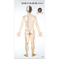 [M]经络穴位挂图-9787117240215