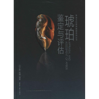 [M]琥珀鉴定与评估-9787566905222