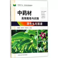 [M]中药材高效栽培与识别原色生态图谱-9787511636065