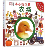 [N]DK小小捉迷藏-9787500094302