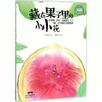 [M]藏在果子里的小小花-9787558304385