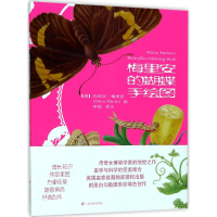 [M]梅里安的蝴蝶手绘图-9787547915608