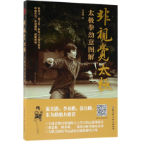 [M]非视觉太极-9787530494585