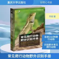 [M]常见爬行动物野外识别手册-9787568914864