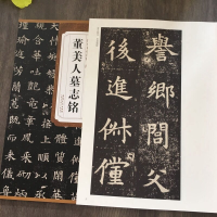 [M]隋董美人墓志铭-9787539861869