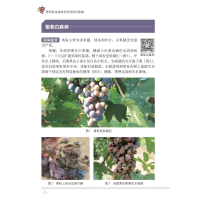 [M]葡萄病虫害绿色防控彩色图谱-9787109269750