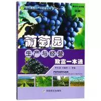 [M]葡萄园生产与经营致富一本通-9787109244337