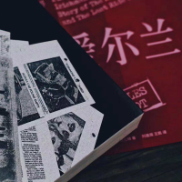 [M]爱尔兰人 (美)查尔斯·勃兰特(Charles Brandt) 著 刘建周,王凯 译 -9787020148066