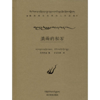 [M]滴雨的松石-9787540973308