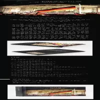 [M]柏林共和时代的德国法学-9787100190503