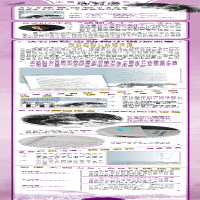 [M]沈石溪臻奇动物小说文集/热血卷 红豺 雄鹰金闪子-9787558908231