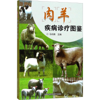 [M]肉羊疾病诊疗图鉴-9787511634320
