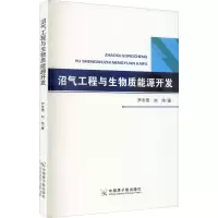 [M]沼气工程与生物质能源开发 尹冬雪,刘伟 著 -9787522112176