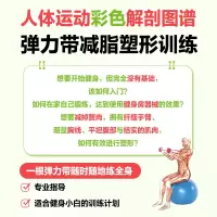 [M]人体运动彩色解剖图谱 健身房器械健身-9787115498298