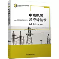 [M]中高电压及绝缘技术-9787111718291