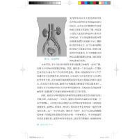 [M]腹膜后肿瘤100问-9787547860151