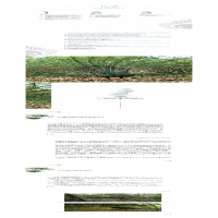 [M]中国野生绿孔雀研究-9787558739927