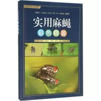 [M]实用麻蝇彩色图鉴-9787566817075