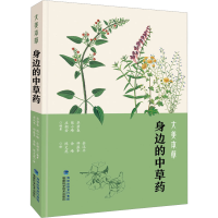 [M]大美本草 身边的中草药-9787533568580