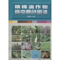 [M]粮棉油作物病虫原色图谱-9787534978562