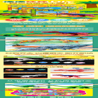 [M]恐龙彩绘涂色 恐龙乐园-9787573608444