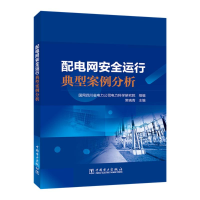 [M]配电网安全运行典型案例分析-9787519869229