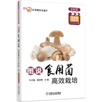 [M]图说食用菌高效栽培(全彩版)-9787111607274