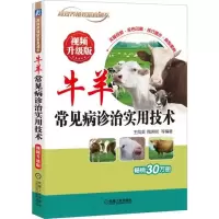 [M]牛羊常见病诊治实用技术-9787111594321