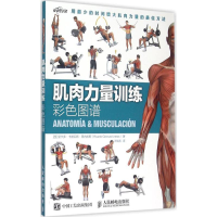 [M]肌肉力量训练彩色图谱-9787115392206